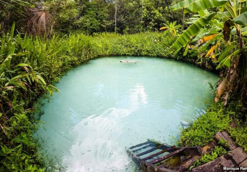 Fervedouro dos Buritis